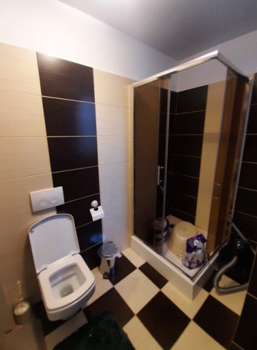 vila-5-camere-lebada-finisaje-de-lux-pret-295000-euro-neg-6