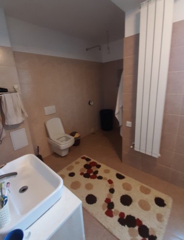 vila-5-camere-lebada-finisaje-de-lux-pret-295000-euro-neg-13