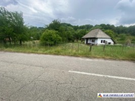 teren-intravilan-3800-mp-de-vanzare-nucsoara-arges-1