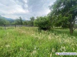 teren-intravilan-3800-mp-de-vanzare-nucsoara-arges