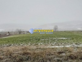 teren-extravilan-de-vanzare-in-vintu-de-jos-in-suprafata-de-5700-mp
