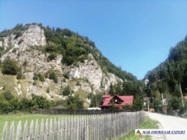 vila-de-munte-6-camere-teren-373-mp-podul-dambovitei-dambovicioara-arges-oportunitate-de-investitie-80
