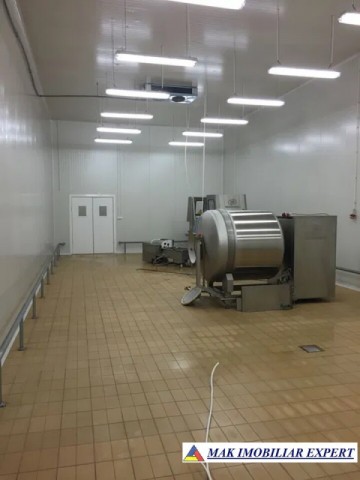 spatiu-comercial-pe-teren-de-25-ha-cu-constructii-de-3837-mp-schitu-golesti-arges