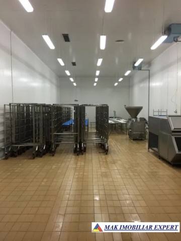 spatiu-comercial-pe-teren-de-25-ha-cu-constructii-de-3837-mp-schitu-golesti-arges-1