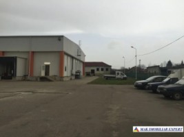 spatiu-comercial-pe-teren-de-25-ha-cu-constructii-de-3837-mp-schitu-golesti-arges-4