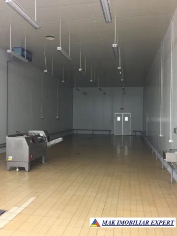 spatiu-comercial-pe-teren-de-25-ha-cu-constructii-de-3837-mp-schitu-golesti-arges-2