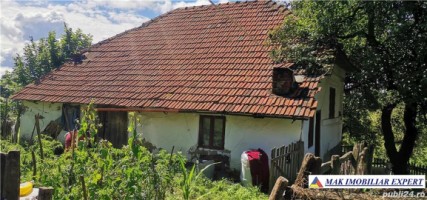 casa-musceleana-3-camere-teren-8364-mp-berevoiesti-3
