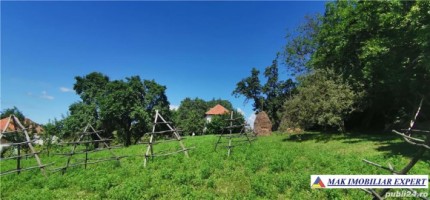 casa-musceleana-3-camere-teren-8364-mp-berevoiesti-5