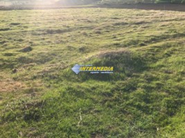 teren-intravilan-de-vanzare-zona-sard-parcele-intre-750-mp-si-1300-mp-toate-utilitatile-1