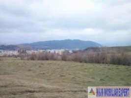 vand-teren-intravilan-8400-mp-cretisoara-campulung-muscel-arges