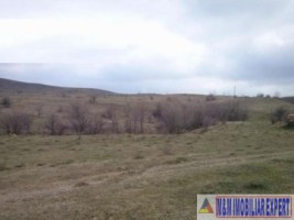 vand-teren-intravilan-8400-mp-cretisoara-campulung-muscel-arges-3