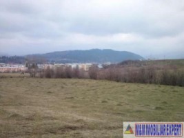 vand-teren-intravilan-8400-mp-cretisoara-campulung-muscel-arges-4