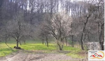 vila-11-camere-400-mp-teren-1200-mp-campulung-muscel-zona-centru-pret-150000-euro-6