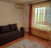 de-vanzare-apartament-cu-1-camera-dambul-pietros-1