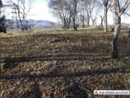 teren-extravilan-5000-mp-nucsoara-arges-ideal-pentru-agricultura