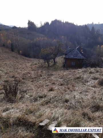 casa-de-vanzare-cu-3-camere-si-teren-de-12-ha-in-dambovicioara-arges-2