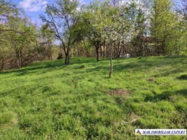 casa-de-vanzare-arges-casa-cu-3-camere-si-teren-de-8800-mp-in-bughea-de-sus-arges-15