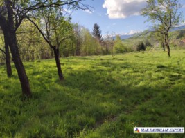 casa-de-vanzare-arges-casa-cu-3-camere-si-teren-de-8800-mp-in-bughea-de-sus-arges-19