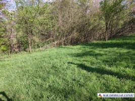 casa-de-vanzare-arges-casa-cu-3-camere-si-teren-de-8800-mp-in-bughea-de-sus-arges-21