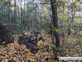 teren-extravilan-8876-mp-nucsoara-arges-ideal-pentru-agricultura-3