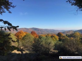teren-extravilan-8876-mp-nucsoara-arges-ideal-pentru-agricultura-7