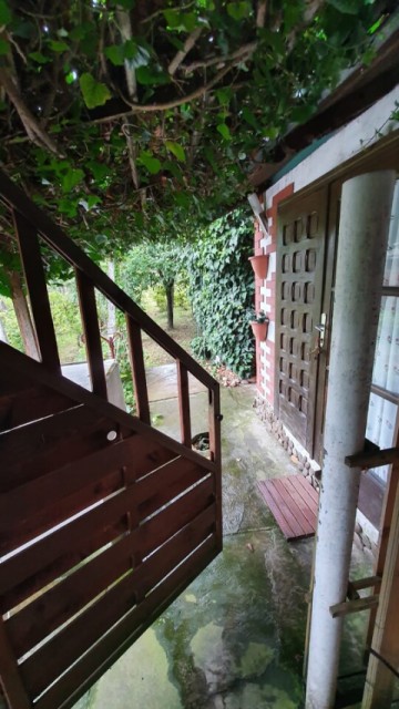 cocorastii-colt-casa-4cam-sc-115mp-ter-1200mp-58000-euro-21