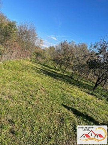 casa-3-camere-teren-1400-mp-in-vladesti-arges-pret-25000-euro-4