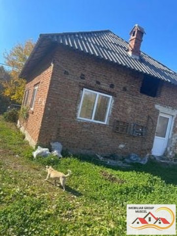 casa-3-camere-teren-1400-mp-in-vladesti-arges-pret-25000-euro-1