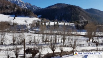 teren-intravilan-16-ha-de-vanzare-rucar-satic-arges-3
