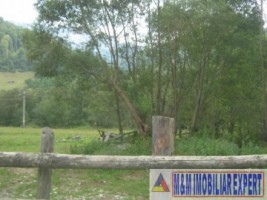 teren-intravilan-16-ha-de-vanzare-rucar-satic-arges