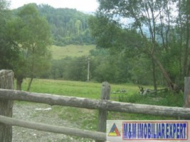 teren-intravilan-16-ha-de-vanzare-rucar-satic-arges-1