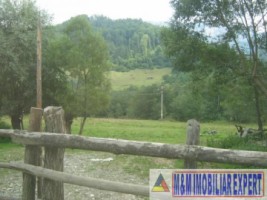 teren-intravilan-16-ha-de-vanzare-rucar-satic-arges-2