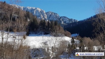 teren-intravilan-16-ha-de-vanzare-rucar-satic-arges-8
