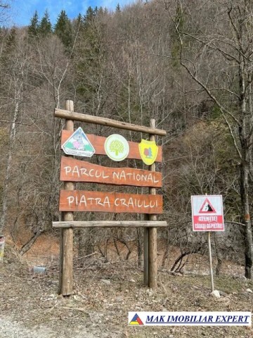 teren-intravilan-16-ha-de-vanzare-rucar-satic-arges-11
