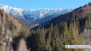 teren-intravilan-16-ha-de-vanzare-rucar-satic-arges-10