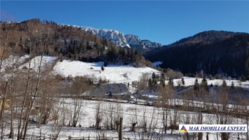 teren-intravilan-16-ha-de-vanzare-rucar-satic-arges-9