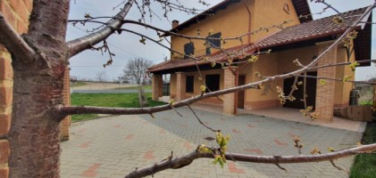 paulesti-cocosesti-vila-p1m-zona-padure-930-euroluna-19