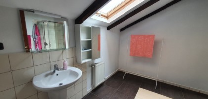 paulesti-cocosesti-vila-p1m-zona-padure-930-euroluna-22