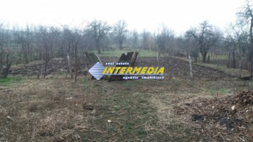 casa-6-camere-si-3000-mp-teren-de-vanzare-in-ciugud-7