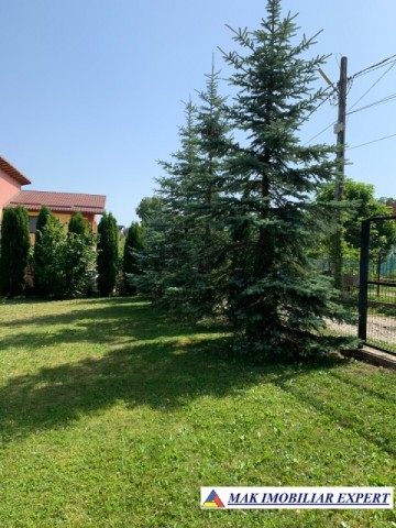 nou-vila-6-camere-teren-1300-mp-campulung-86