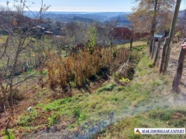 casa-de-vanzare-cu-6-camere-in-zona-matau-arges-26