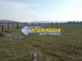 teren-intravilan-500mp-de-vanzare-alba-iulia-micesti-1