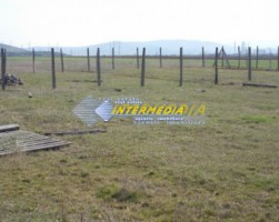 teren-intravilan-500mp-de-vanzare-alba-iulia-micesti-2