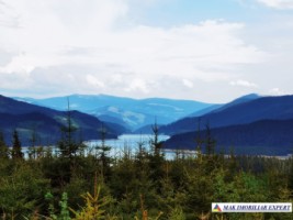 teren-1-ha-transalpina-voineasa-valcea-1