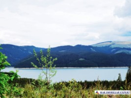 teren-1-ha-transalpina-voineasa-valcea
