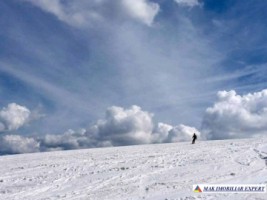 teren-1-ha-transalpina-voineasa-valcea-4