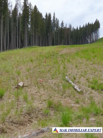 teren-1-ha-transalpina-voineasa-valcea-9