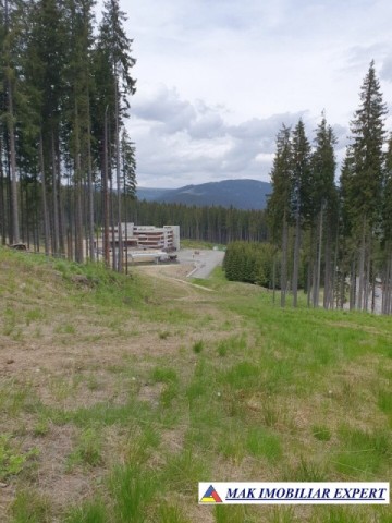 teren-1-ha-transalpina-voineasa-valcea-10