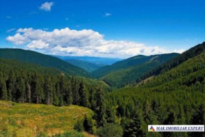teren-1-ha-transalpina-voineasa-valcea-12