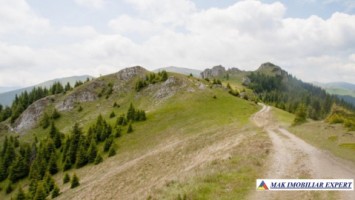 teren-1-ha-transalpina-voineasa-valcea-11